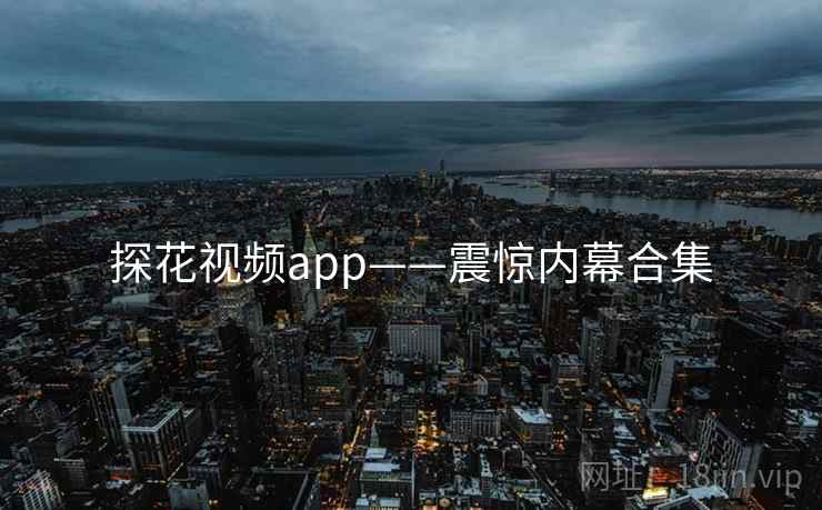 探花视频app——震惊内幕合集