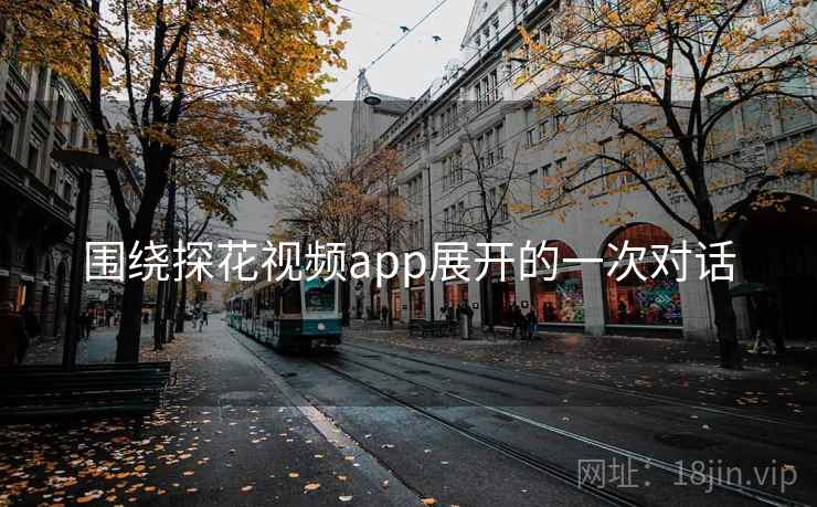 围绕探花视频app展开的一次对话