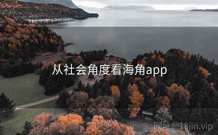 从社会角度看海角app